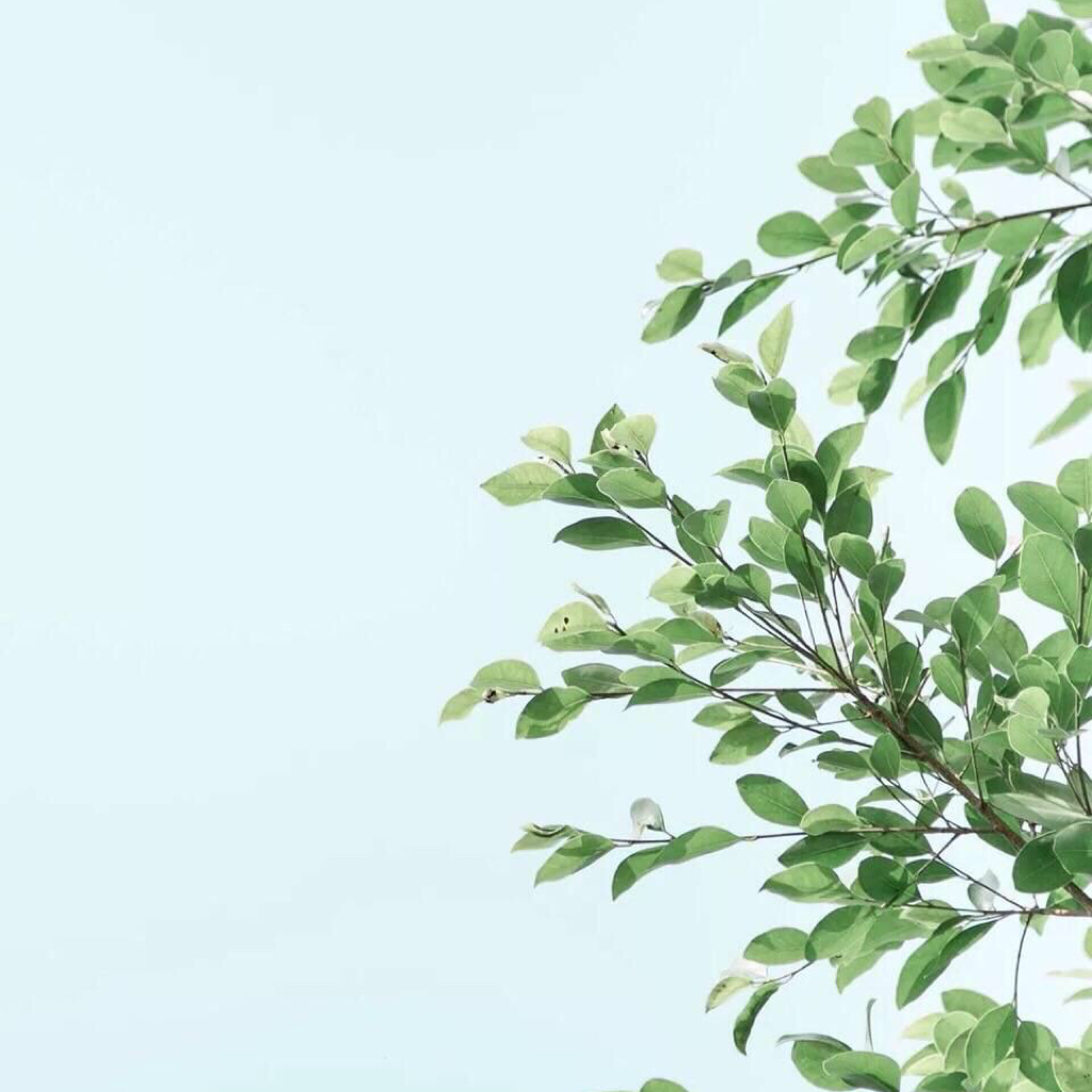 ECO_z3fbx24h