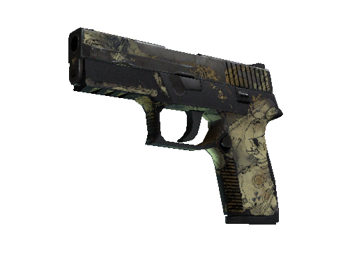 P250 | 核子污染 (战痕累累)