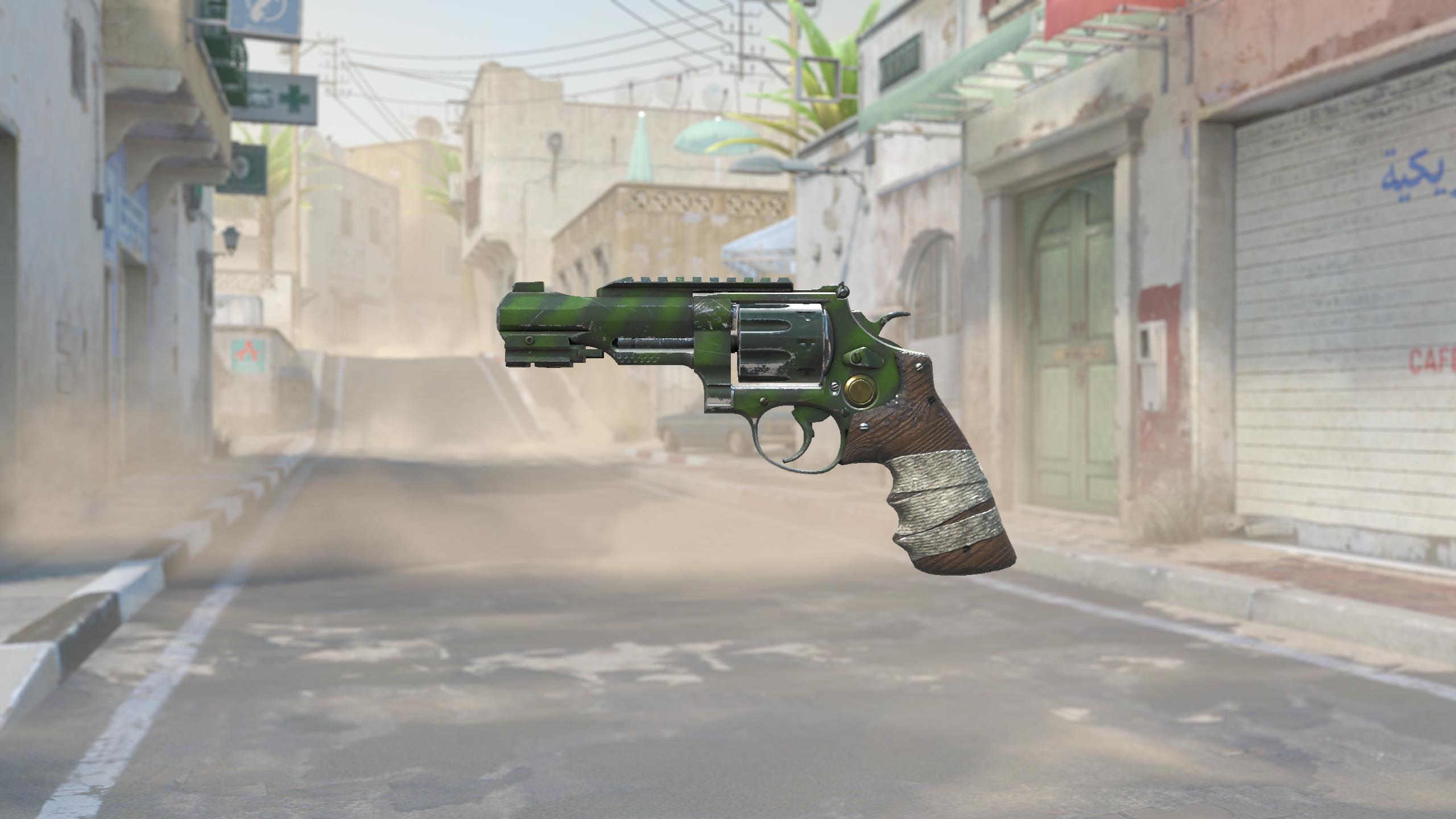 R8左轮手枪 | 生存主义者 (久经沙场)