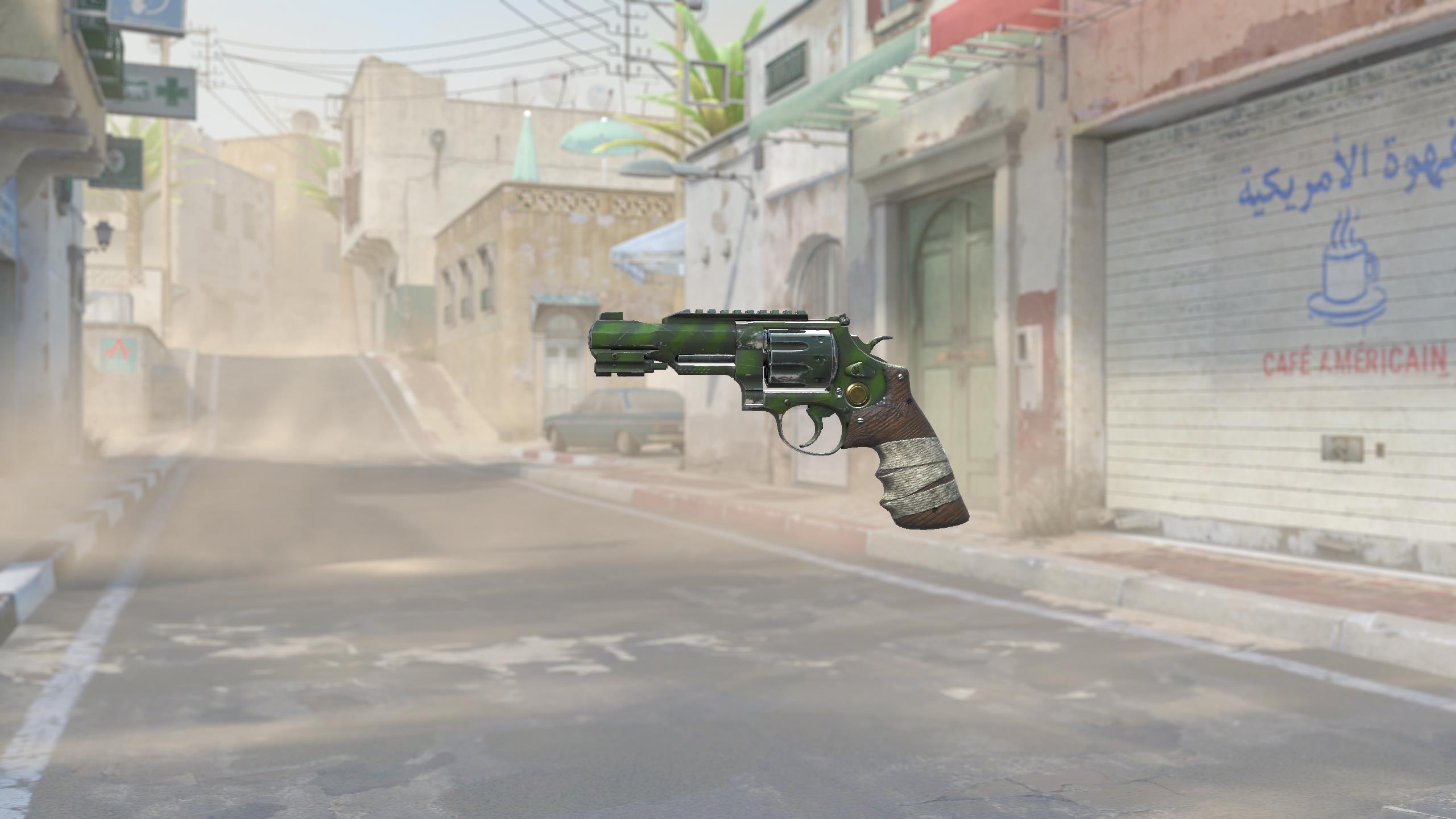 R8左轮手枪 | 生存主义者 (久经沙场)