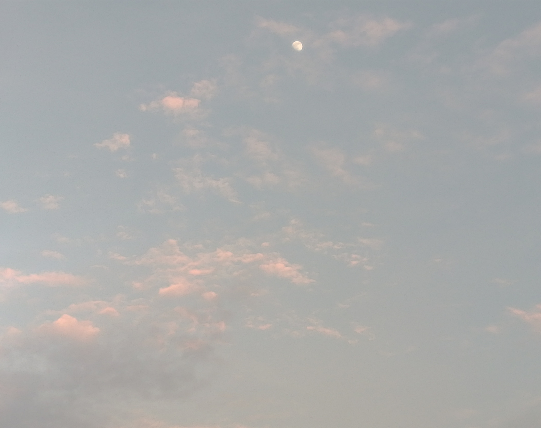 我刚刚跑起来啦