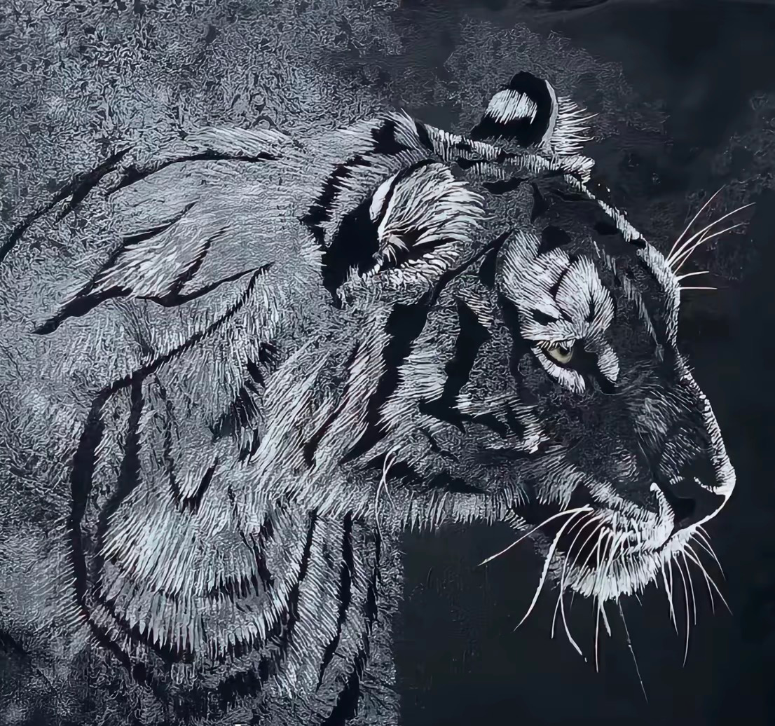 老板老板看看我