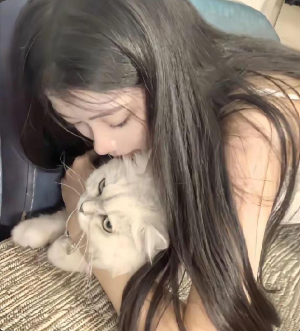 秒sf店铺求购甩我宝1