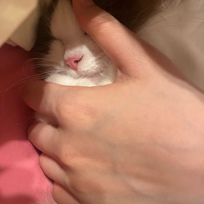 性价比小炉子炼金王