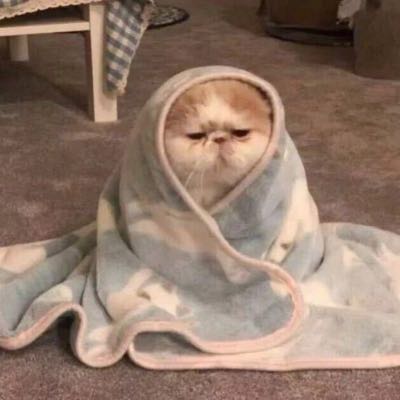 多炉秒开不墨迹