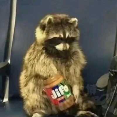 赚点饭钱行行好