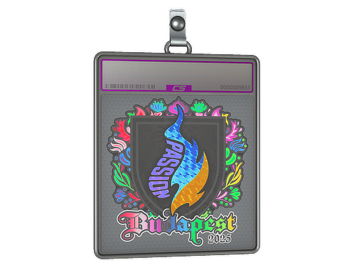 印花板 | Passion UA（全息）| 2025年布达佩斯锦标赛